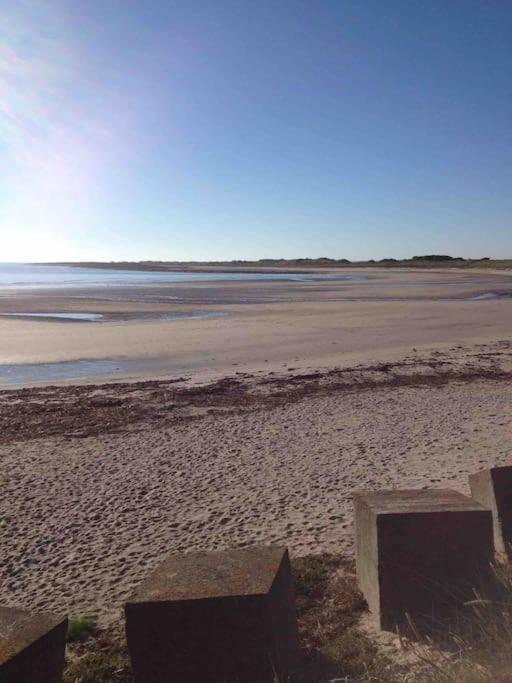 Kelvinside, Seahouses, 2 Minute Walk Into Village Eksteriør billede